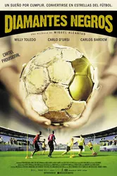 Черные бриллианты 2013 постер