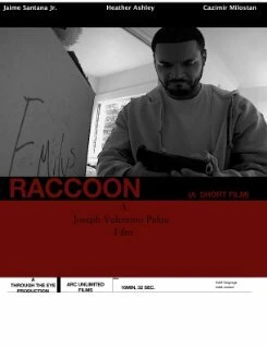 Постер Raccoon 2008
