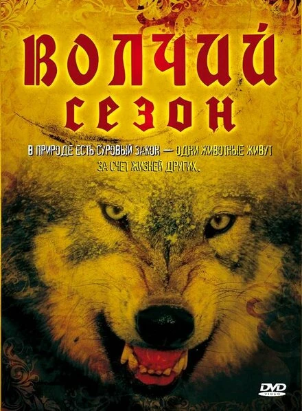 Постер Волчий сезон 2008