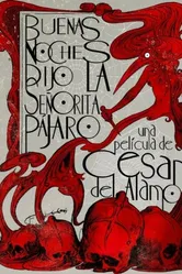 Доброй ночи, сказала сеньорита Пахаро 2012 постер