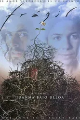 Frágil 2004 постер