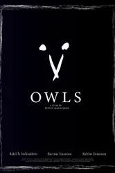 Owls постер