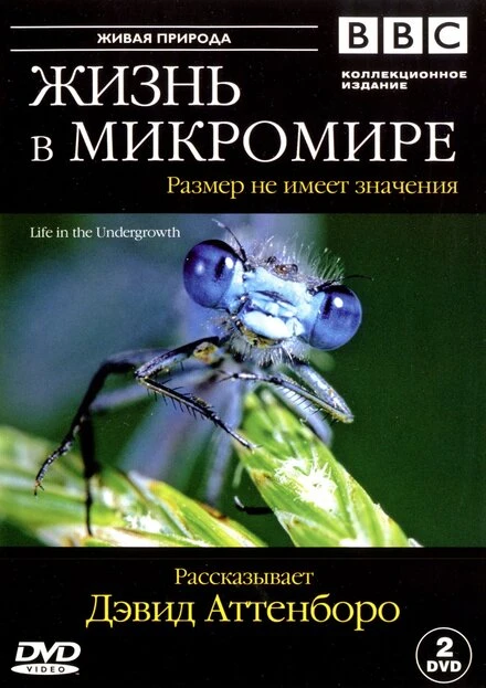 Постер BBC: Жизнь в микромире 2005