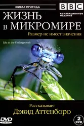 BBC: Жизнь в микромире 2005 постер