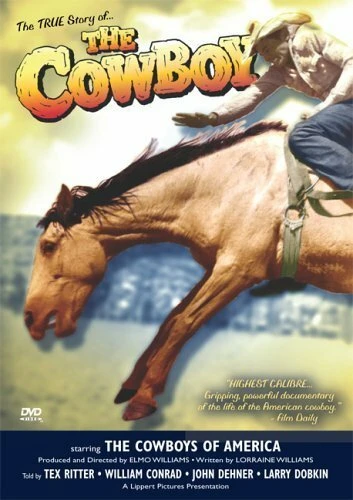 Постер The Cowboy 1954