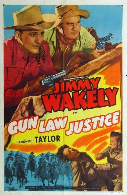 Постер Gun Law Justice