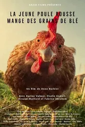 La Jeune Poule Rousse Mange des Grains de Blé постер