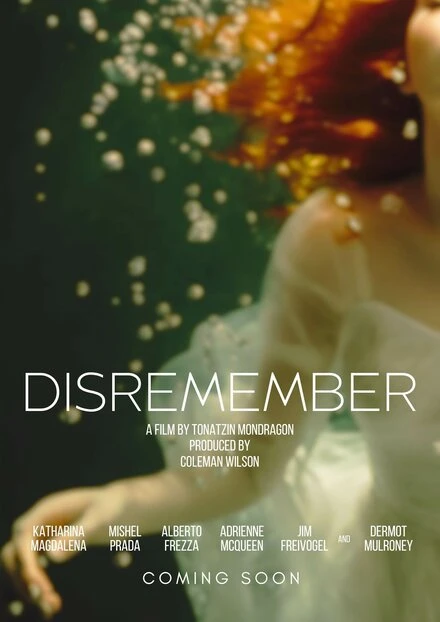 Постер Disremember