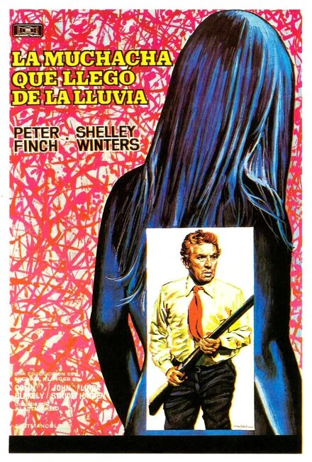 Постер Что-то, что нужно скрыть 1972