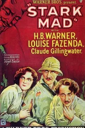 Stark Mad 1929 постер