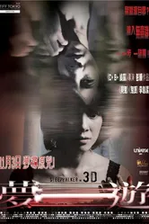 Лунатик 3D 2011 постер