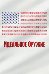 Идеальное оружие 2020 постер