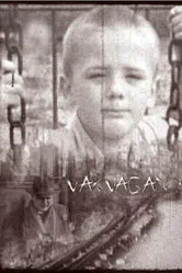 Vakvagany постер
