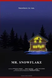 Mr. Snowflake постер