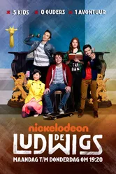 De Ludwigs постер