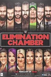 WWE Камера ликвидации 2018 постер