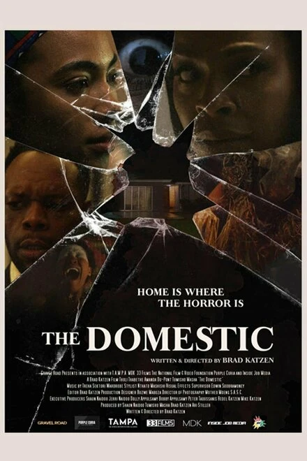 Постер The Domestic