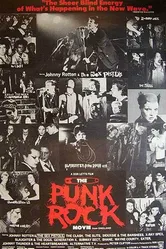 The Punk Rock Movie постер