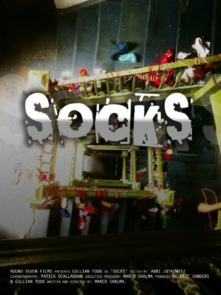 Постер Socks 2015