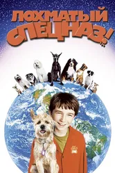 Лохматый спецназ 2003 постер