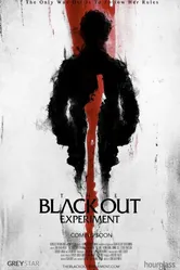 The Blackout Experiment постер