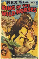 King of the Wild Horses постер
