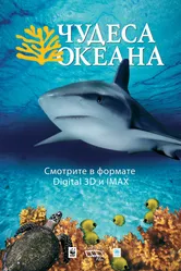 Чудеса океана 3D 2003 постер