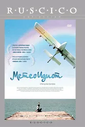Метеоидиот 2008 постер