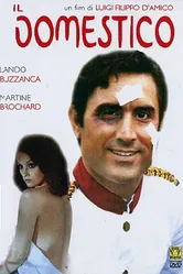 Слуга 1974 постер