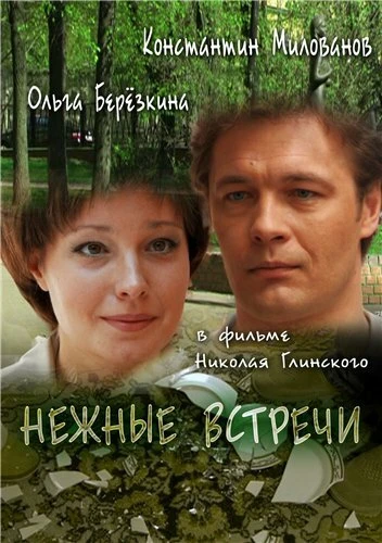 Постер Нежные встречи 2008