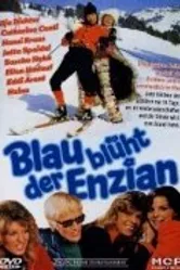 Blau blüht der Enzian постер