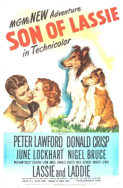 Постер Сын Лесси 1945