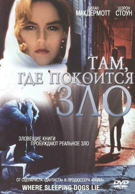 Постер Там, где покоится зло 1991