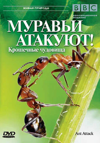 Постер BBC: Муравьи атакуют 2006