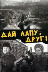 Дай лапу, Друг 1967 постер