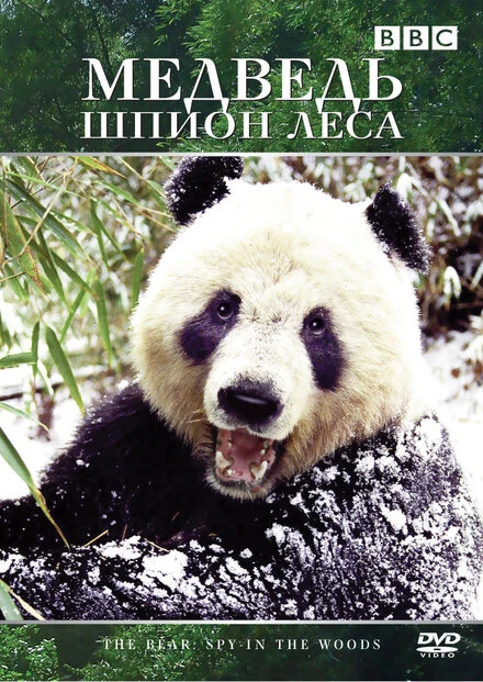Постер Медведь: Шпион леса 2004