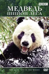 Медведь: Шпион леса 2004 постер