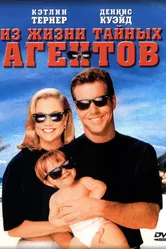 Из жизни тайных агентов 1993 постер