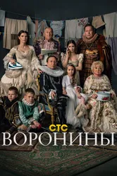 Воронины 2009 постер