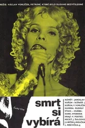 Smrt si vybírá постер
