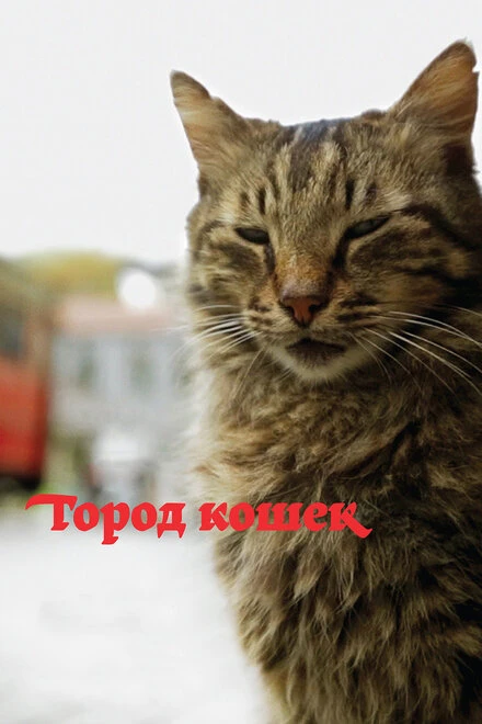 Постер Город кошек 2016