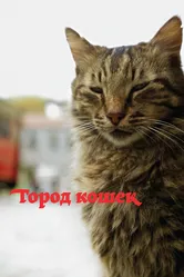 Город кошек 2016 постер