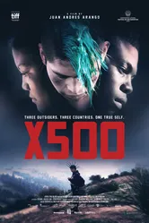 X500 постер