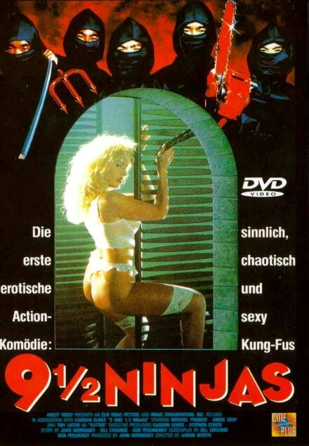 Постер 9 с половиной ниндзя 1991