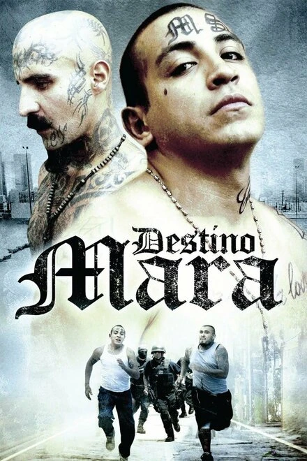 Постер Destino Mara