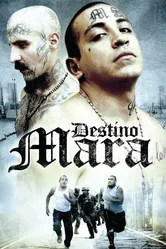 Destino Mara постер
