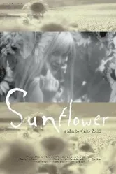 Sunflower 2004 постер