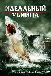 Идеальный убийца 2011 постер