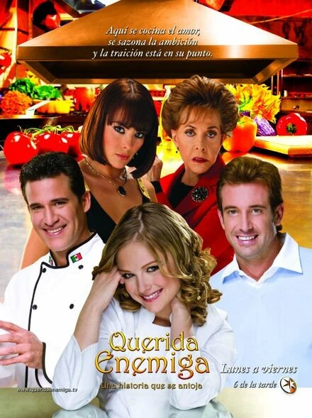 Постер Дорогой враг 2008