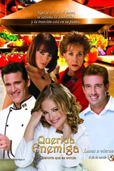 Дорогой враг 2008 постер